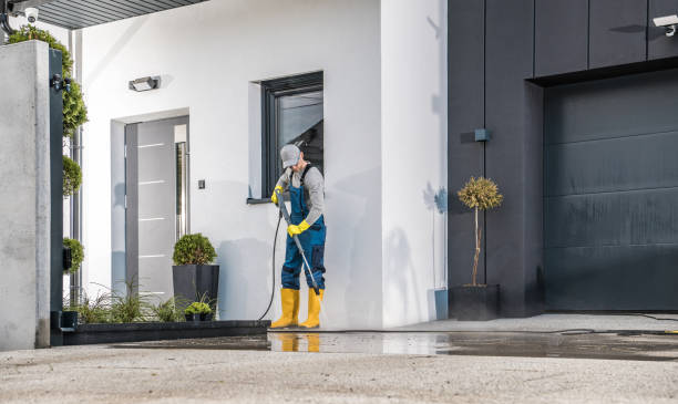 Best Soft Washing  in Malone, FL